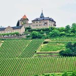 Vue panoramique d'un château médiéval entouré de vignes en terrasses sur une colline