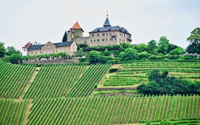 Vue panoramique d'un château médiéval entouré de vignes en terrasses sur une colline