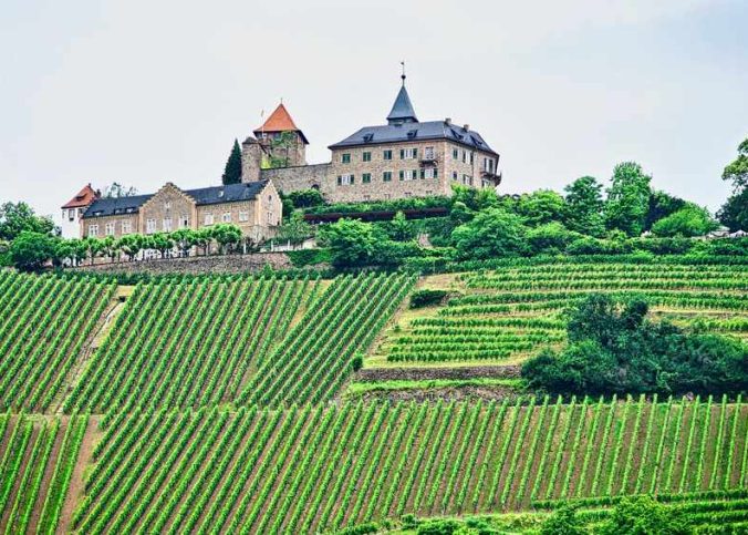 Vue panoramique d'un château médiéval entouré de vignes en terrasses sur une colline