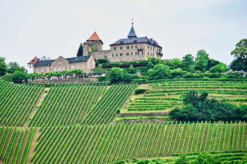 Vue panoramique d'un château médiéval entouré de vignes en terrasses sur une colline