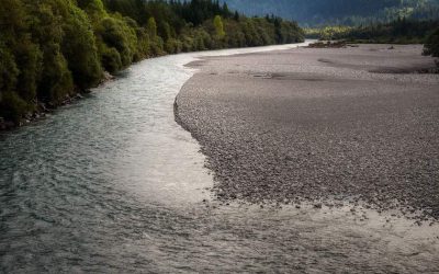 Rivière sinueuse bordée de forêt et de plage, montagnes en arrière-plan