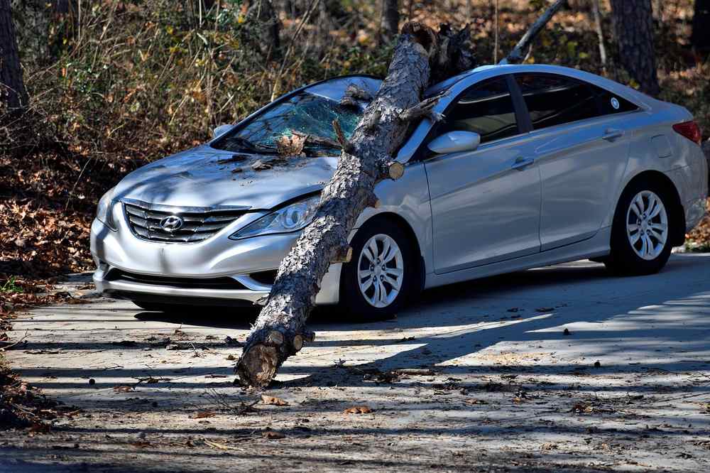 Voiture argentée écrasée par un tronc d'arbre sur une route forestière