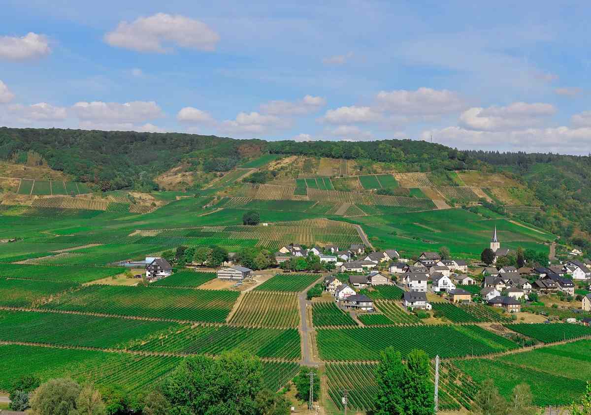 Village alsacien entouré de vignobles en terrasses sous un ciel clairs Village alsacien entouré de vignobles en terrasses sous un ciel clairs